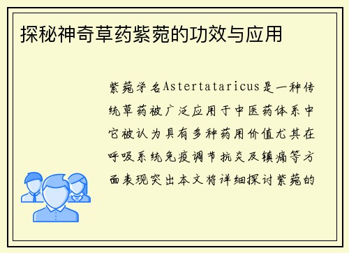 探秘神奇草药紫菀的功效与应用